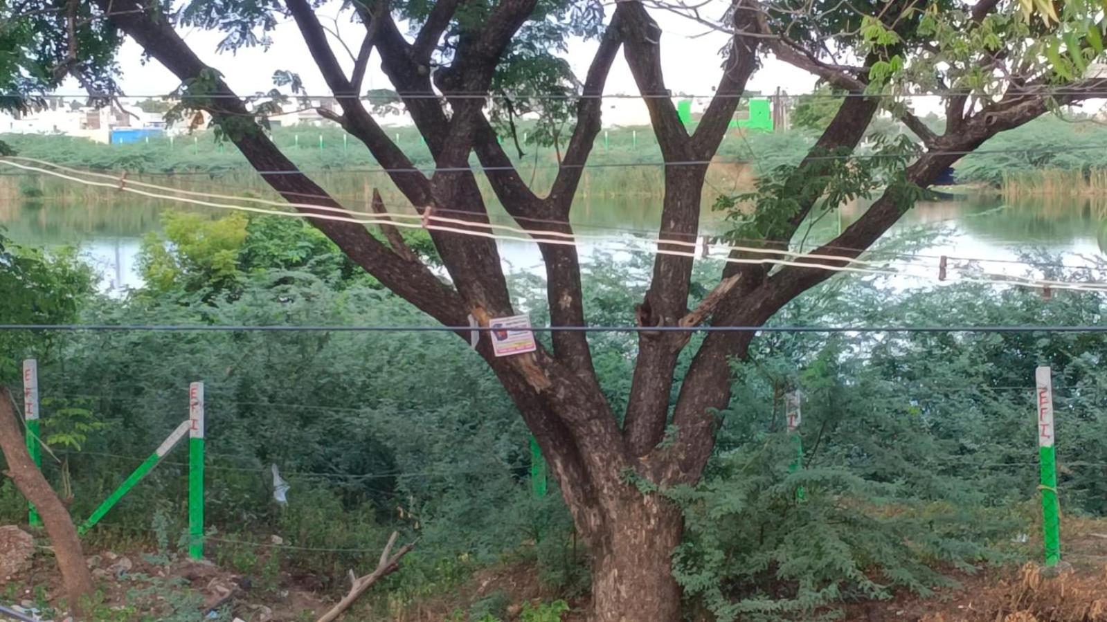 Madurai Koodal Nagar Homestay Kültér fotó